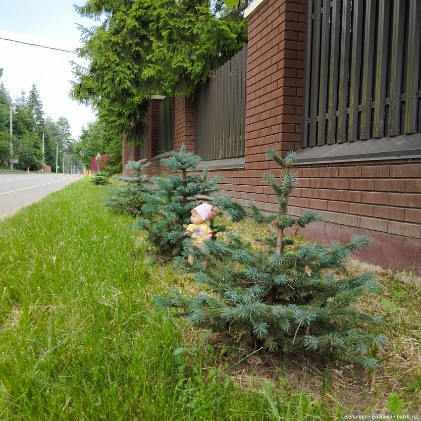 А я иду, шагаю по посёлку✌️😁🌲🌳🌲