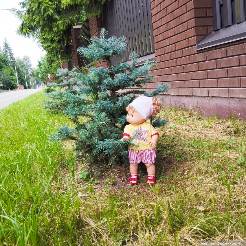 А я иду, шагаю по посёлку✌️😁🌲🌳🌲