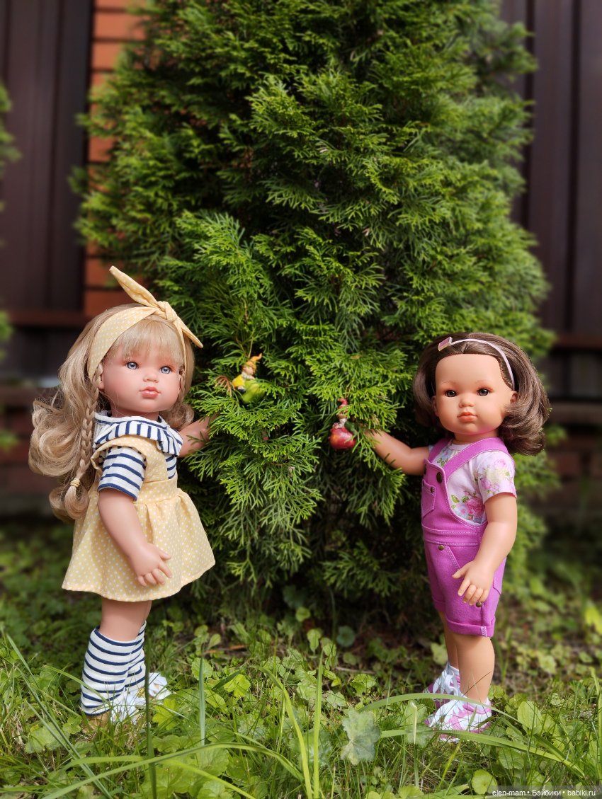 Туя и гномики