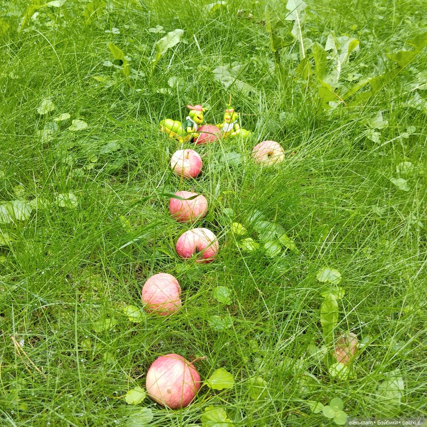 Дорожка из яблок