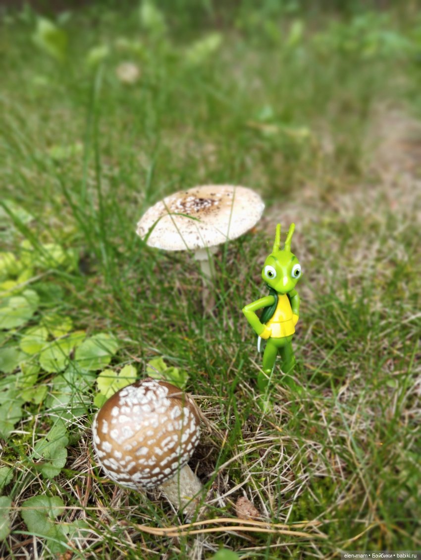 Кузя и грибы