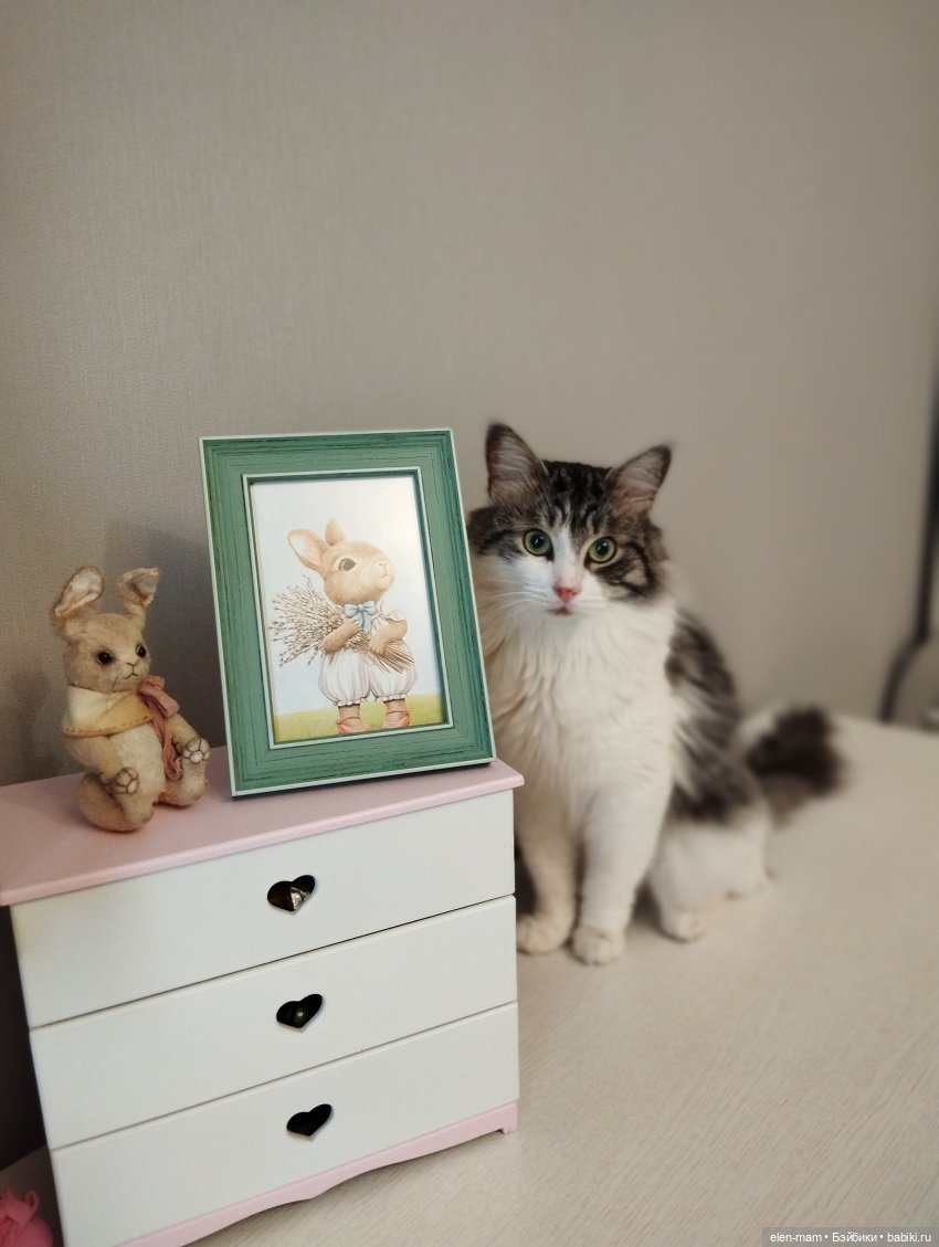 Бакс