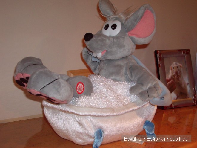 В гостях у Сказки . Музей Мыши в городе Светлогорск