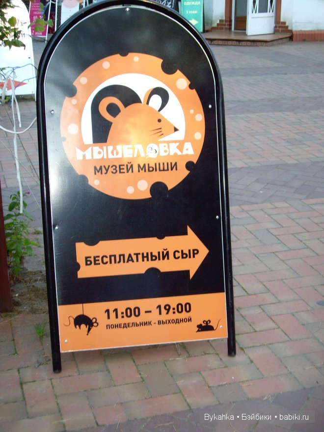 В гостях у Сказки . Музей Мыши в городе Светлогорск