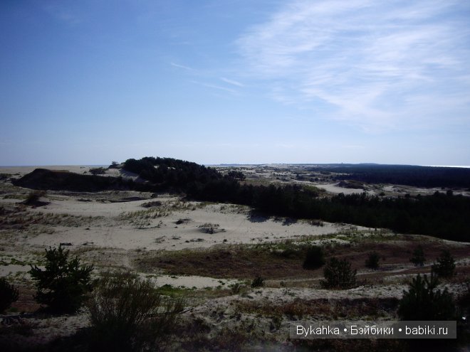 Куршская коса — Туризм и путешествия: фотоотчеты из поездок