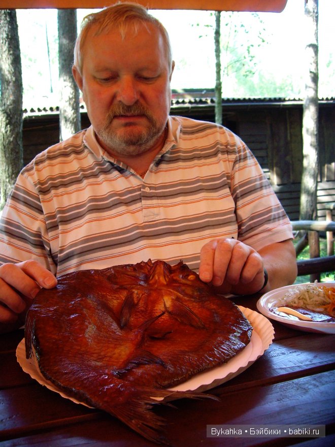 Куршская коса — Туризм и путешествия: фотоотчеты из поездок