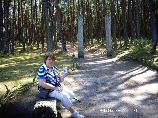 Куршская коса — Туризм и путешествия: фотоотчеты из поездок (фото 6)