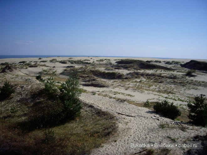 Куршская коса — Туризм и путешествия: фотоотчеты из поездок