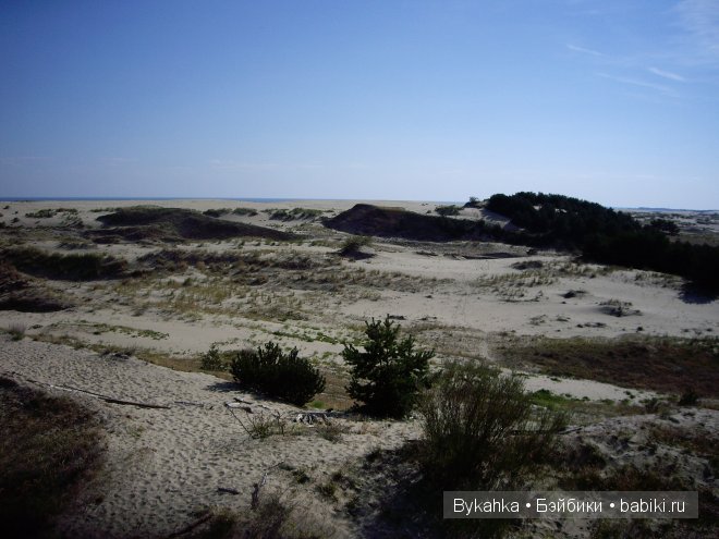 Куршская коса — Туризм и путешествия: фотоотчеты из поездок