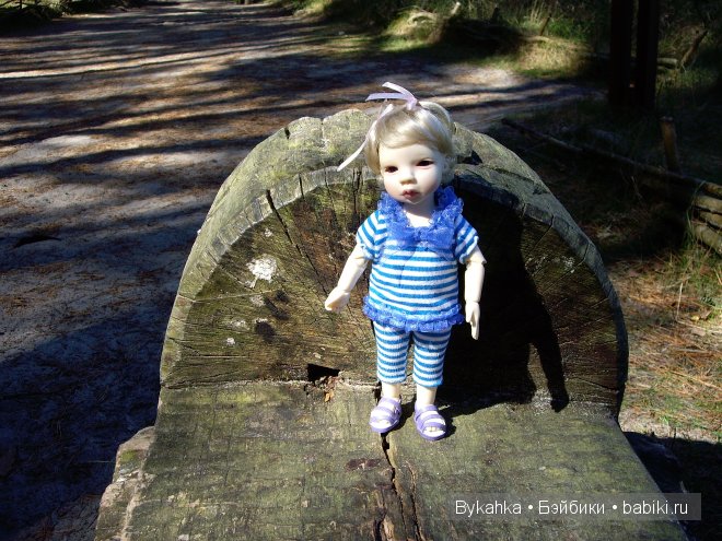 Куршская коса — Туризм и путешествия: фотоотчеты из поездок (фото 5)