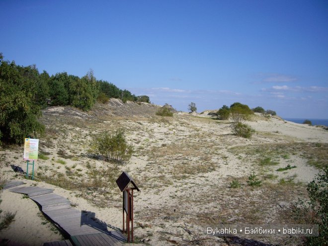Куршская коса — Туризм и путешествия: фотоотчеты из поездок