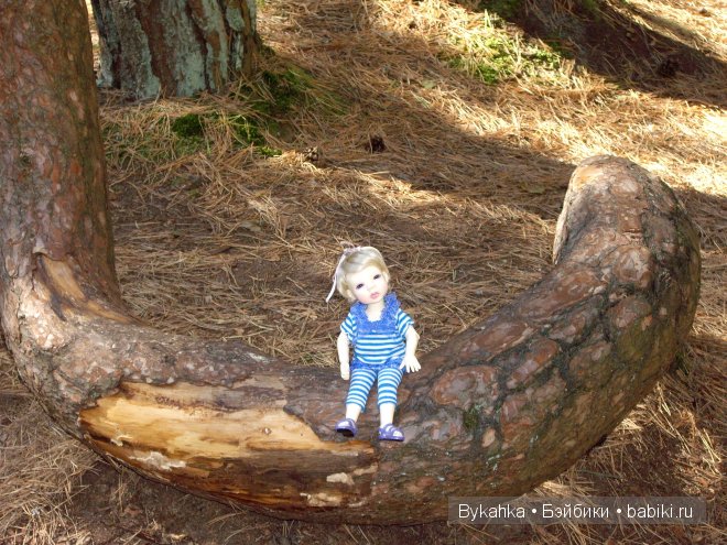 Куршская коса — Туризм и путешествия: фотоотчеты из поездок