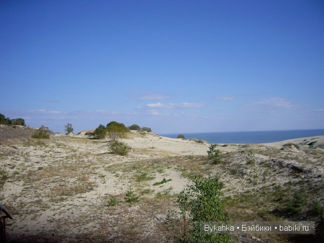 Куршская коса — Туризм и путешествия: фотоотчеты из поездок