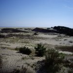 Куршская коса.