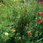 С Днем народного единства !!!