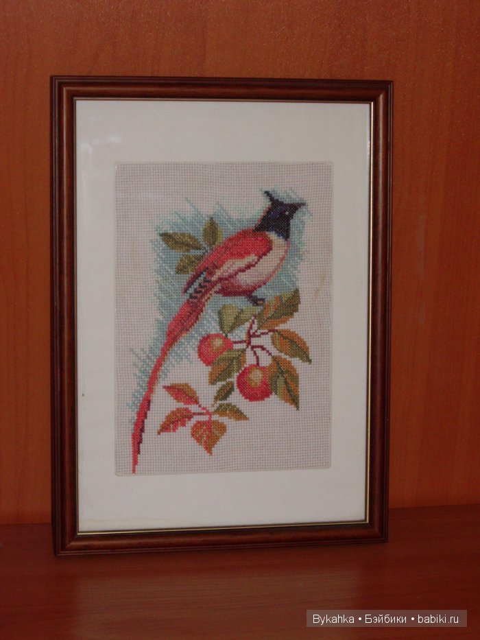 А еще я люблю вышивать — Другие хобби и увлечения: сад