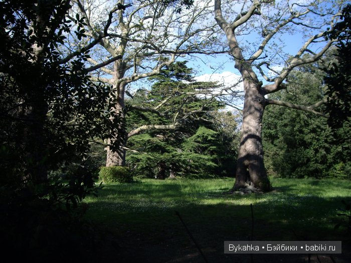 Сказка с названием " Крым"