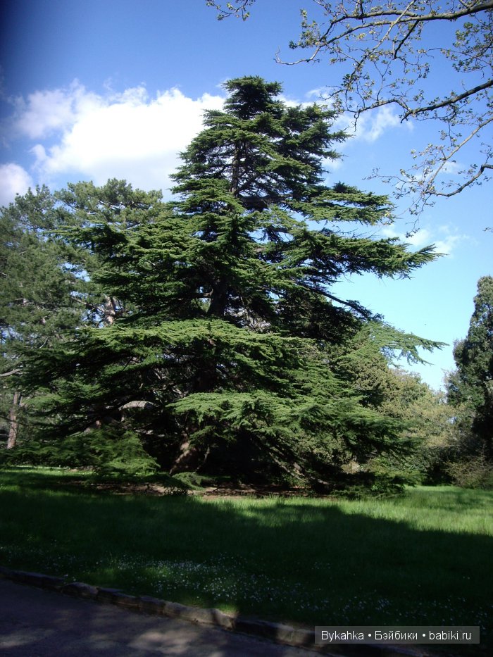 Сказка с названием " Крым"