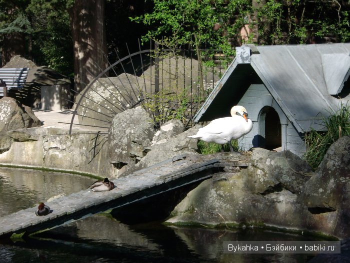 Сказка с названием " Крым"