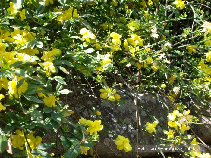 Сказка с названием " Крым"