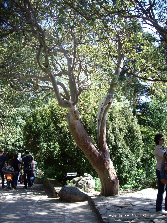 Сказка с названием " Крым". Часть 2