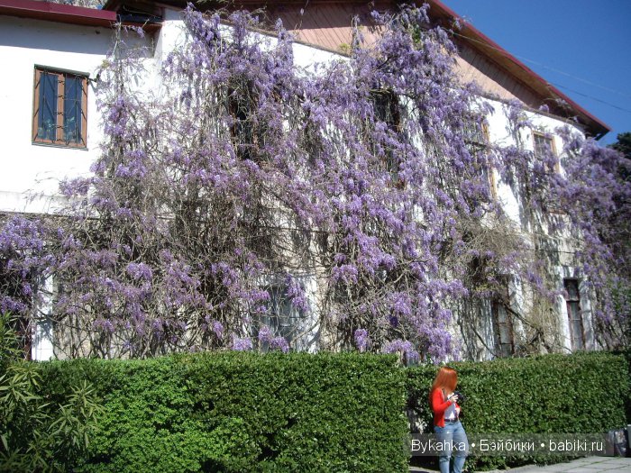 Сказка с названием " Крым". Часть 2