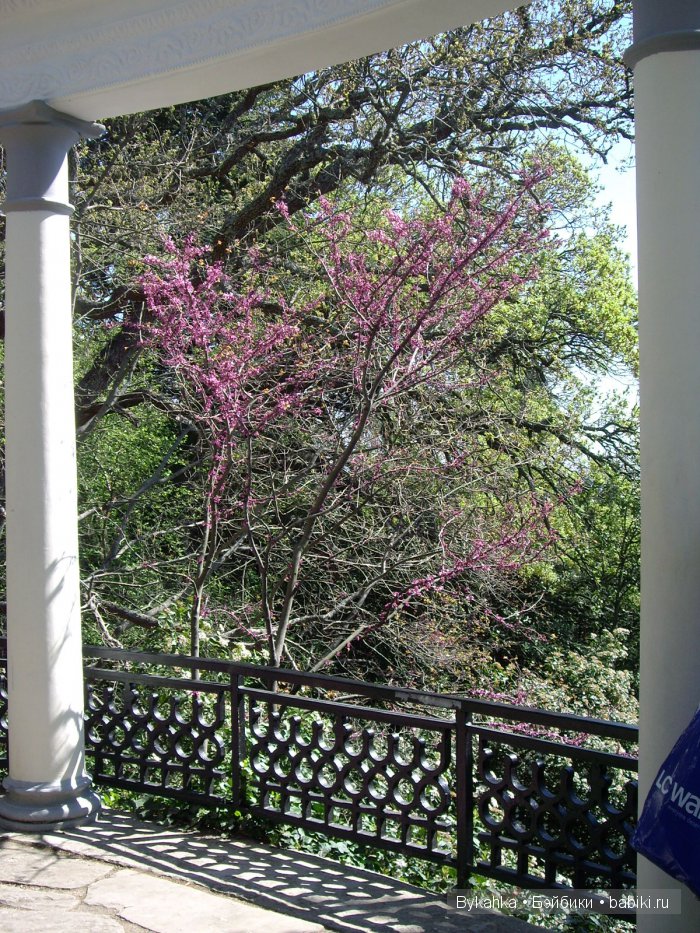 Сказка с названием " Крым". Часть 2