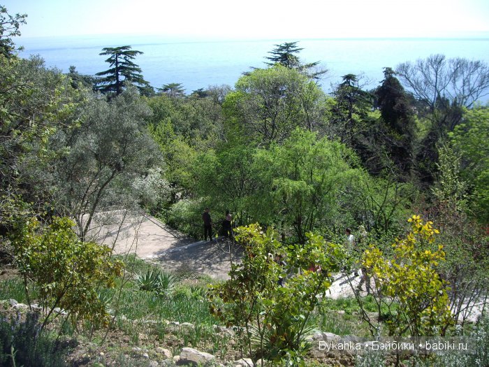 Сказка с названием " Крым". Часть 2 (фото 10)