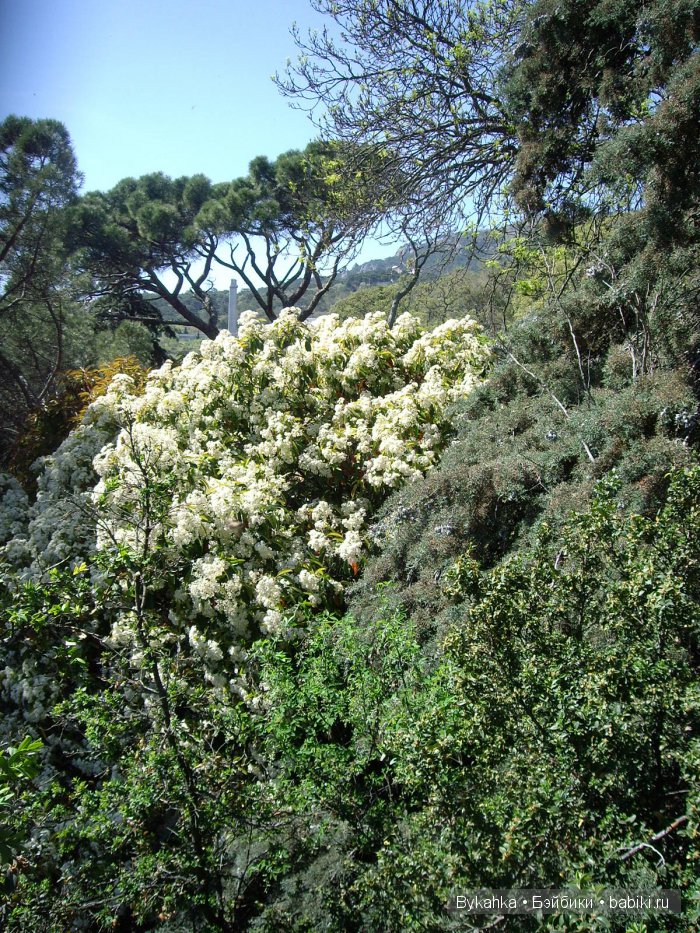 Сказка с названием " Крым". Часть 2