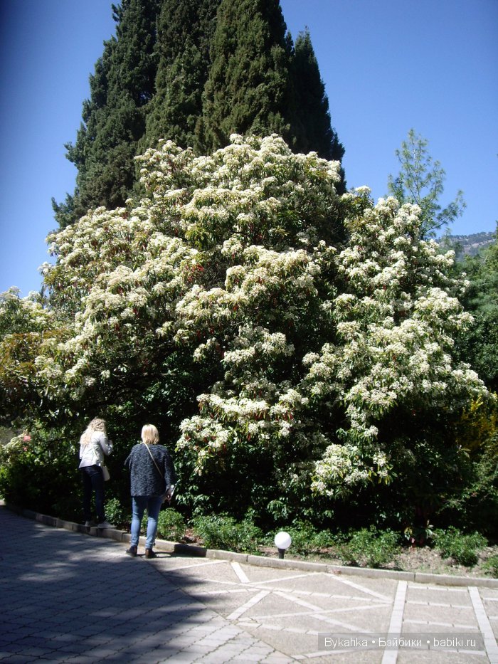 Сказка с названием " Крым". Часть 2