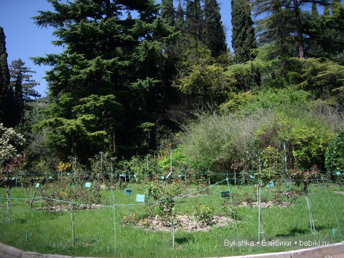 Сказка с названием " Крым". Часть 2