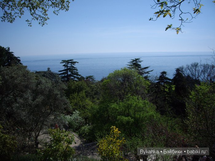 Сказка с названием " Крым". Часть 2 (фото 9)