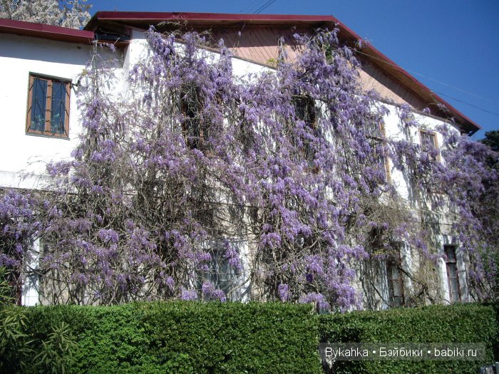 Сказка с названием " Крым". Часть 2