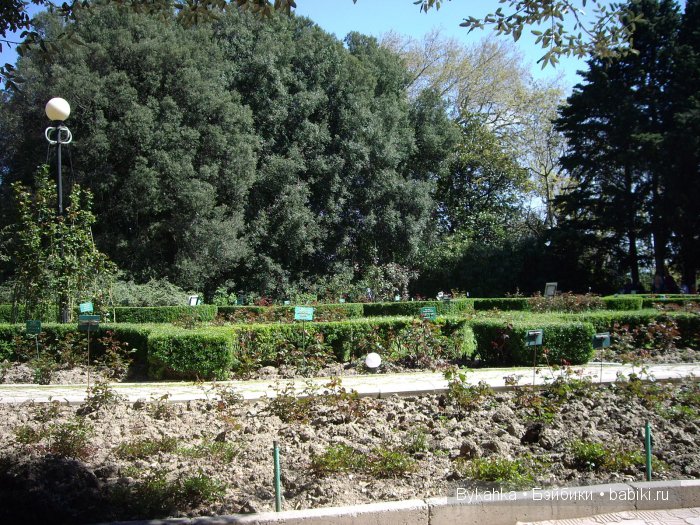 Сказка с названием " Крым". Часть 2 (фото 4)