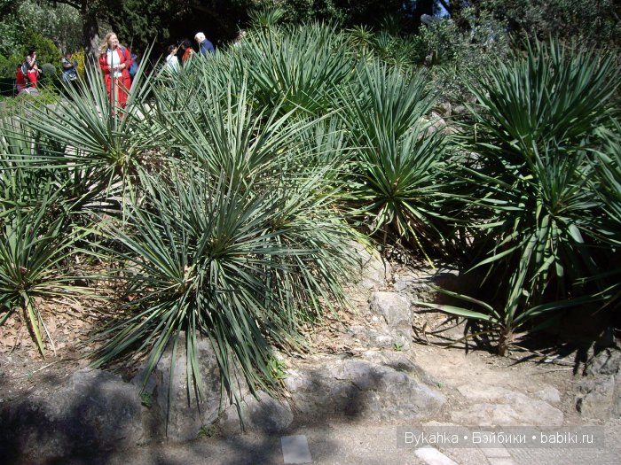 Сказка с названием " Крым". Часть 2 (фото 7)