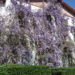 Сказка с названием  " Крым". Часть 2