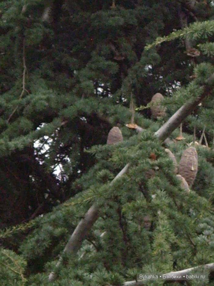 Сказка с названием " Крым". Часть 3