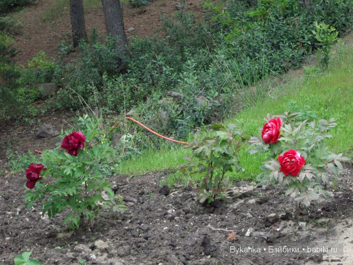 Сказка с названием " Крым". Часть 3