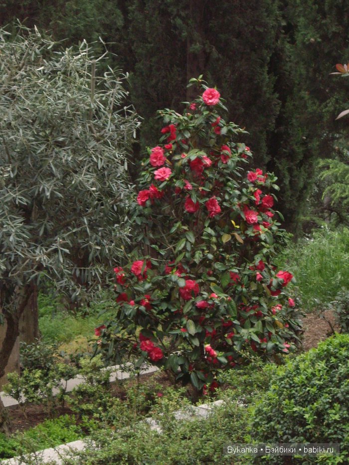 Сказка с названием " Крым". Часть 3