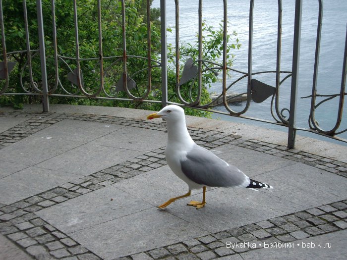 Сказка с названием " Крым". Часть 3