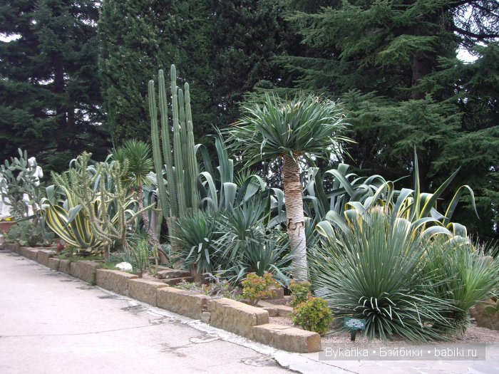 Сказка с названием " Крым". Часть 3