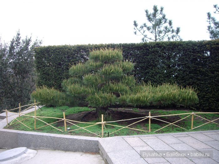 Сказка с названием " Крым". Часть 3