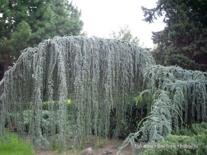 Сказка с названием " Крым". Часть 3