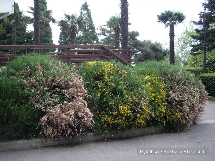 Сказка с названием " Крым". Часть 3