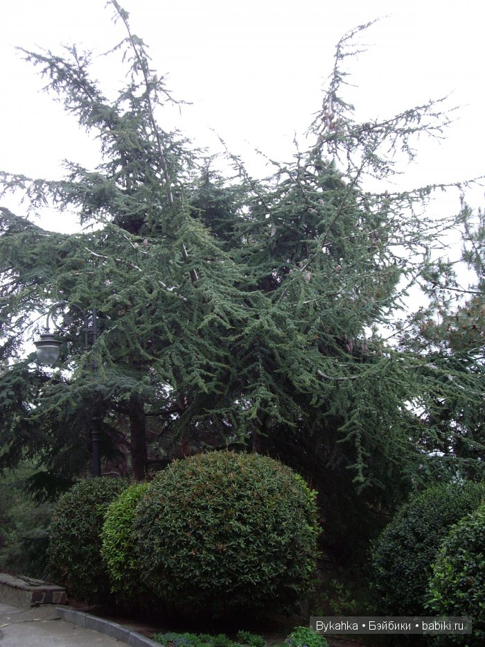 Сказка с названием " Крым". Часть 3