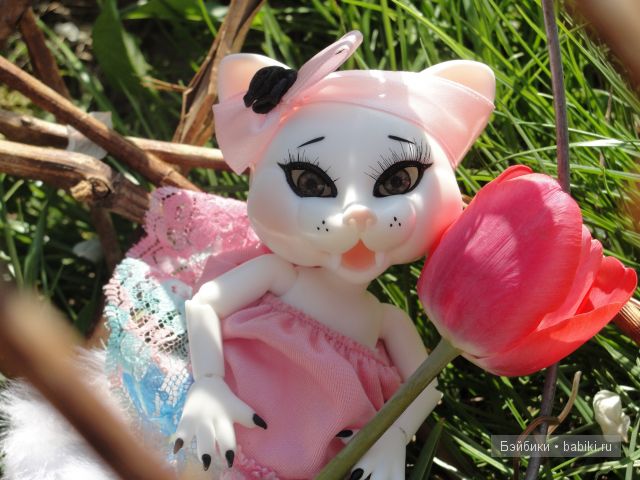 Люблю тюльпаны Люблю тюльпаны