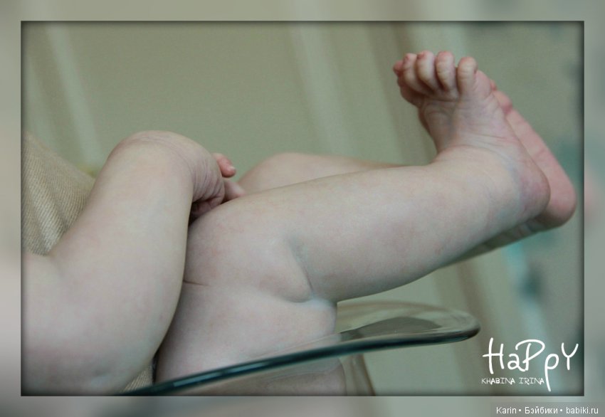 Милый котенок Phoenix от Andrea Arcello