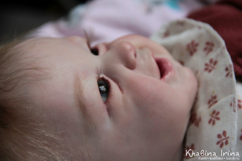 Милый котенок Phoenix от Andrea Arcello