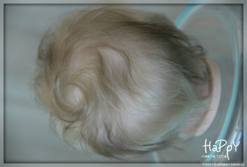 Милый котенок Phoenix от Andrea Arcello