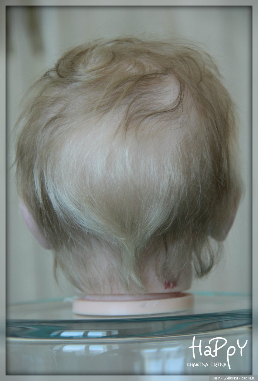 Милый котенок Phoenix от Andrea Arcello